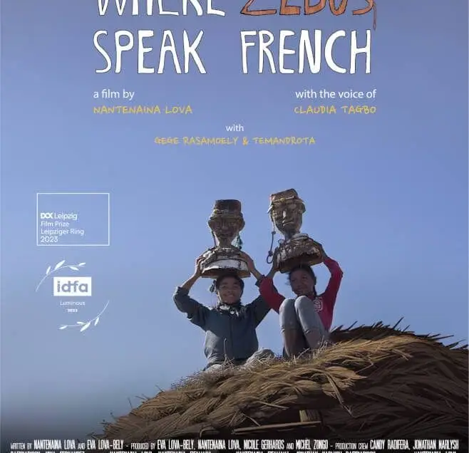 affiche du film chez les zébus francophones, de Nantenaina Lova Sitabaomba