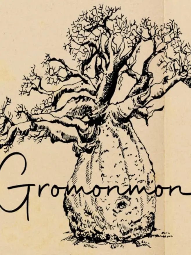 affiche dessin film gromonmon